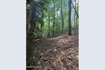 5.85 Ac Emory Shield Road, Murphy, NC 28906 - Photo 17