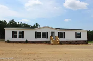 950 Blind Bridge Rd, Magnolia, NC 28453 - Photo 5