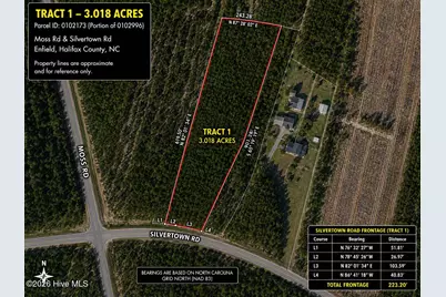 T1 Silvertown Road, Enfield, NC 27823 - Photo 1