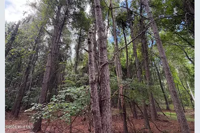 0 Mills Road, Goldsboro, NC 27530 - Photo 5