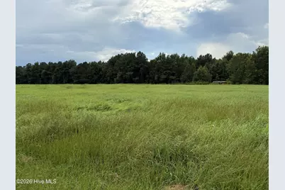 0 Mills Road, Goldsboro, NC 27530 - Photo 3