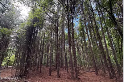 0 Mills Road, Goldsboro, NC 27530 - Photo 7
