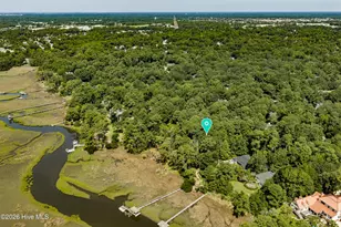 6308 Timber Creek Ln, Wilmington, NC 28411 - Photo 53
