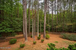 1624 Rosebriar Pl, Hillsborough, NC 27278 - Photo 53