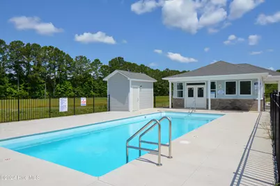 229 Sandy Cove Lane, Sneads Ferry, NC 28460 - Photo 43