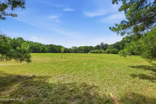 5397 Dilda Church Rd, Fountain, NC 27829 - Photo 67