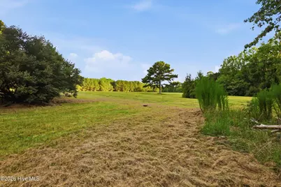 5397 Dilda Church Road, Fountain, NC 27829 - Photo 65