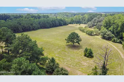 5397 Dilda Church Road, Fountain, NC 27829 - Photo 29