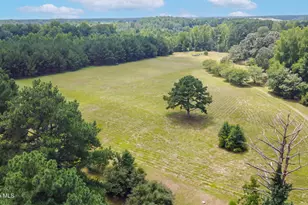 5397 Dilda Church Rd, Fountain, NC 27829 - Photo 29