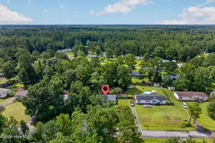 145 Bellhammon Forest Dr, Rocky Point, NC 28457 - Photo 31