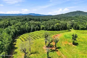 1175 Wolfcreek Rd, Murphy, NC 28906 - Photo 79