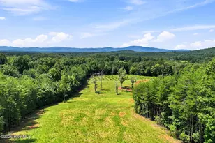1175 Wolfcreek Rd, Murphy, NC 28906 - Photo 77