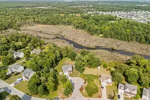 201 Old Millstone Ct, Sneads Ferry, NC 28460 - Photo 47