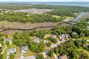 201 Old Millstone Ct, Sneads Ferry, NC 28460 - Photo 61