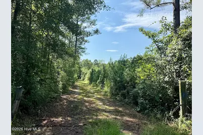 0 W Magnolia-Lisbon Road, Garland, NC 28441 - Photo 25