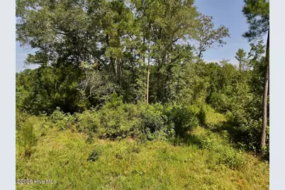 0 W Magnolia-Lisbon Road, Garland, NC 28441 - Photo 17