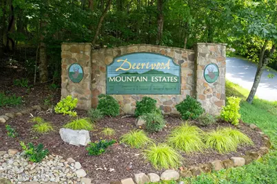 55 Buck Ridge Drive, Murphy, NC 28906 - Photo 7