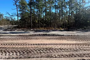 Lot 69 Peninsula Pkwy, Southport, NC 28461 - Photo 1