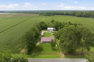 1971 Raccoon Rd, Willard, NC 28478 - Photo 25