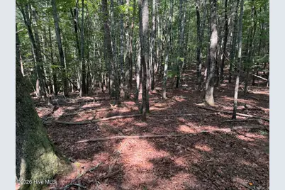 919 Panther Top Road, Murphy, NC 28906 - Photo 7