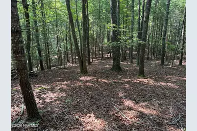 919 Panther Top Road, Murphy, NC 28906 - Photo 5