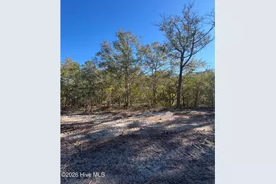 Lot 121 Coral Gull Street, Southport, NC 28461 - Photo 1