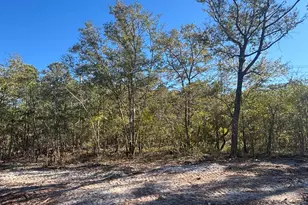 Lot 121 Coral Gull St, Southport, NC 28461 - Photo 1