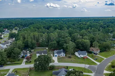 10003 Winding Branches Drive SE, Leland, NC 28451 - Photo 29