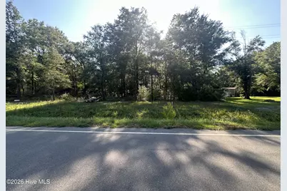 3 Ivanhoe Road, Ivanhoe, NC 28447 - Photo 3