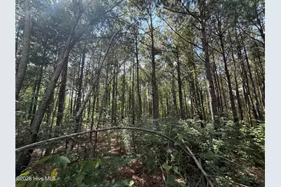 2740 Nc 71 Highway, Maxton, NC 28364 - Photo 11