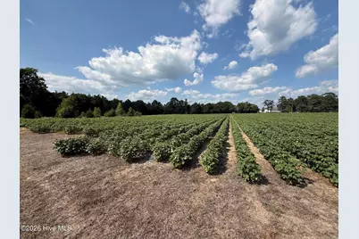 2740 Nc 71 Highway, Maxton, NC 28364 - Photo 29