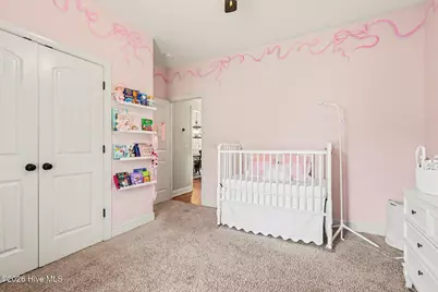 229 Tedpace Street, Princeton, NC 27569 - Photo 19