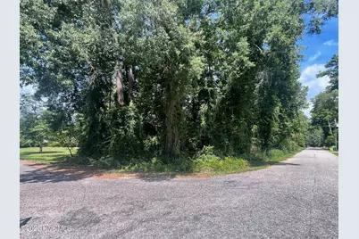 Lot 110 Wildwood Road, Whiteville, NC 28472 - Photo 1