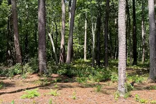 5222 US 17 Hwy S, New Bern, NC 28562 - Photo 45