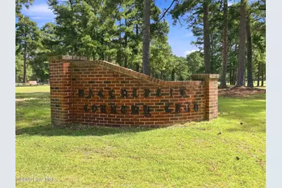 172 Golf Course Drive, Pinetops, NC 27864 - Photo 65