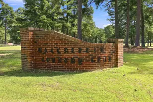 172 Golf Course Dr, Pinetops, NC 27864 - Photo 65