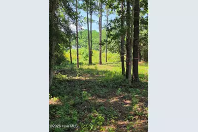44 Pine Shores Drive, Southport, NC 28461 - Photo 7