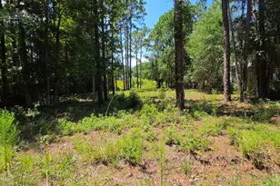 44 Pine Shores Dr, Southport, NC 28461 - Photo 1
