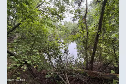 235 Bryant Road, Carthage, NC 28327 - Photo 7