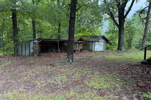 235 Bryant Rd, Carthage, NC 28327 - Photo 5