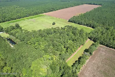 00 Ward Town Road S, Whiteville, NC 28472 - Photo 5