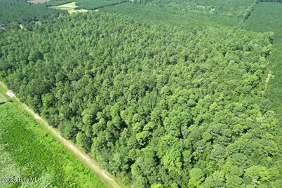 00 Ward Town Road S, Whiteville, NC 28472 - Photo 21