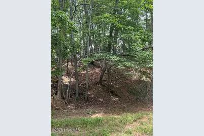 Lot #46 Pine Cove Lane, Murphy, NC 28906 - Photo 15