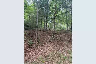 Lot #46 Pine Cove Lane, Murphy, NC 28906 - Photo 13