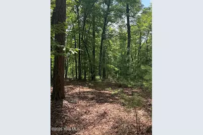 Lot #46 Pine Cove Lane, Murphy, NC 28906 - Photo 9