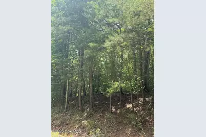 Lot #46 Pine Cove Lane, Murphy, NC 28906 - Photo 11