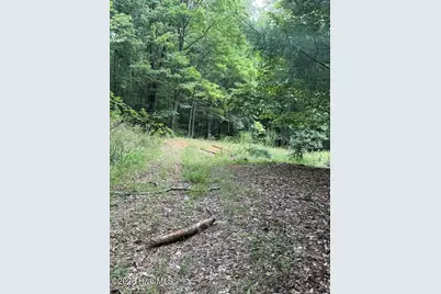 Lot #46 Pine Cove Lane, Murphy, NC 28906 - Photo 5