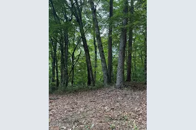 Lot #46 Pine Cove Lane, Murphy, NC 28906 - Photo 7