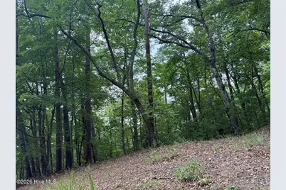 Lot #46 Pine Cove Lane, Murphy, NC 28906 - Photo 17