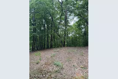 Lot #46 Pine Cove Lane, Murphy, NC 28906 - Photo 1
